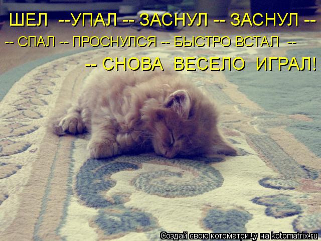 ШЕЛ --УПАЛ -- ЗАСНУЛ -- ЗАСНУЛ -- -- СНОВА ВЕСЕЛО ИГРАЛ! -- СПАЛ -- ПРОСНУЛСЯ -- БЫСТРО ВСТАЛ --... Котоматрица: ШЕЛ --УПАЛ -- ЗАСНУЛ -- ЗАСНУЛ -- -- СНОВА ВЕСЕЛО ИГРАЛ! -- СПАЛ -- ПРОСНУЛСЯ -- БЫСТРО ВСТАЛ --