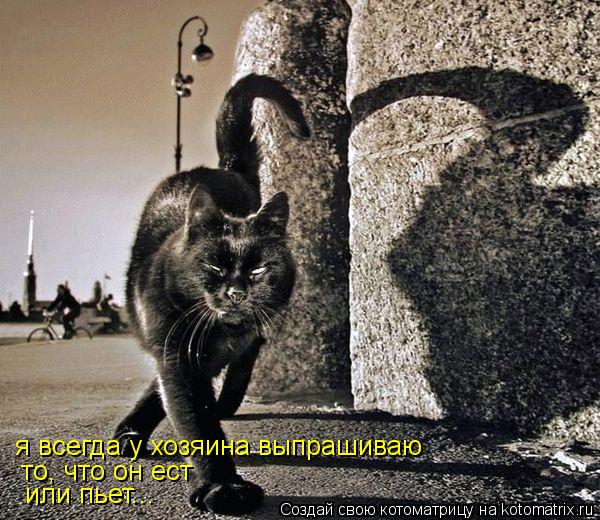 я всегда у хозяина выпрашиваю то, что он ест или пьет...... Котоматрица: я всегда у хозяина выпрашиваю то, что он ест или пьет...