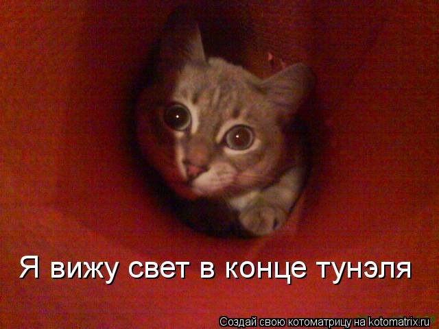 Я вижу свет в конце тунэля... Котоматрица: Я вижу свет в конце тунэля