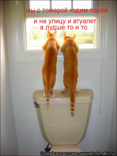 Котоматрица: мы с томарой ходим парой и на улицу и втуалет а лудше то и то