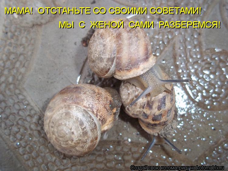 МАМА! ОТСТАНЬТЕ СО СВОИМИ СОВЕТАМИ! МЫ С ЖЕНОЙ САМИ РАЗБЕРЕМСЯ!... Котоматрица: МАМА! ОТСТАНЬТЕ СО СВОИМИ СОВЕТАМИ! МЫ С ЖЕНОЙ САМИ РАЗБЕРЕМСЯ!