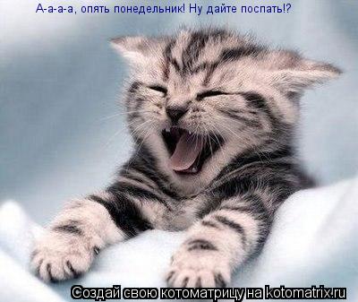 Котоматрица: А-а-а-а, опять понедельник! Ну дайте поспать!?