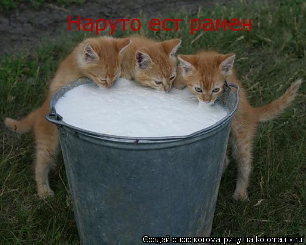 Котоматрица: Наруто ест рамен