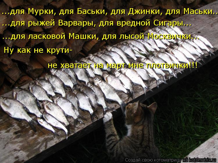 ...для Мурки, для Баськи, для Джинки, для Маськи... ...для рыжей Варвары, для вредной Сигары... ...дл... Котоматрица: ...для Мурки, для Баськи, для Джинки, для Маськи... ...для рыжей Варвары, для вредной Сигары... ...для ласковой Машки, для лысой Москвички... Ну как н