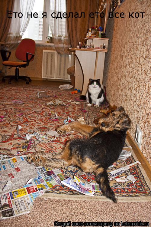 Котоматрица: Ето не я сделал ето все кот