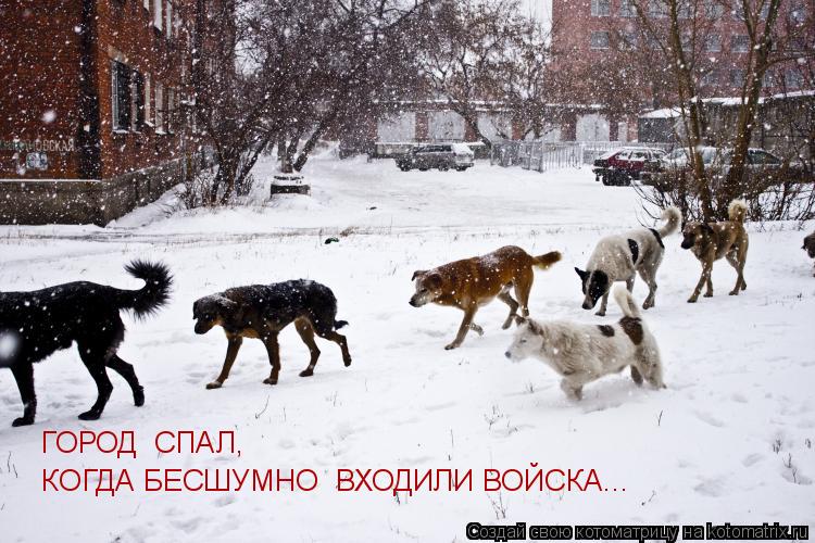 Котоматрица: ГОРОД  СПАЛ, КОГДА БЕСШУМНО  ВХОДИЛИ ВОЙСКА...