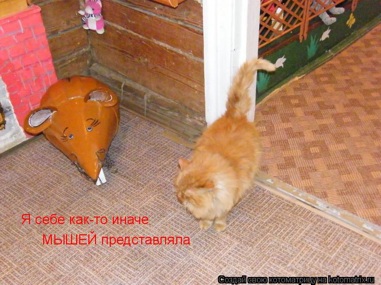Котоматрица: Я себе как-то иначе МЫШЕЙ представляла