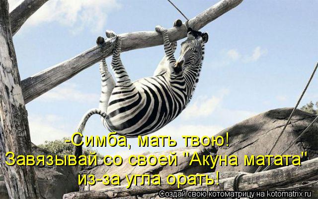 -Симба, мать твою! Завязывай со своей "Акуна матата" из-за угла орать!... Котоматрица: -Симба, мать твою! Завязывай со своей "Акуна матата" из-за угла орать!