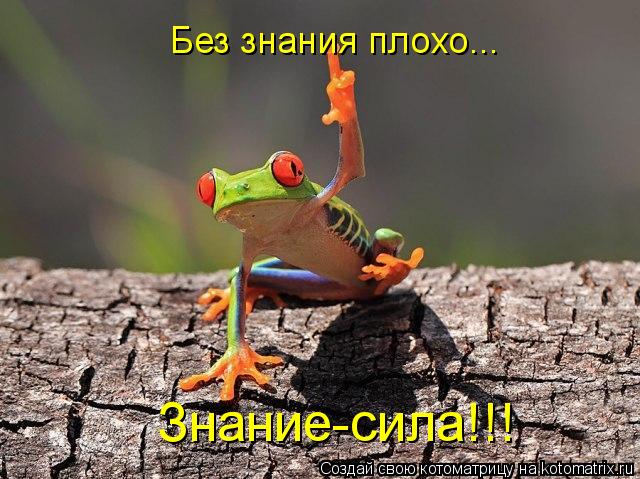 Знание-сила!!! Без знания плохо...... Котоматрица: Знание-сила!!! Без знания плохо...
