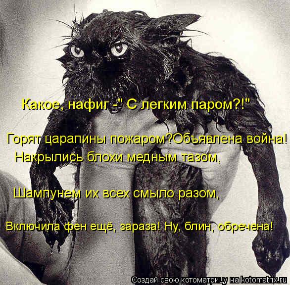 Какое, нафиг -" С легким паром?!" Горят царапины пожаром?Объявлена война! Накрылись блохи медным тазо... Котоматрица: Какое, нафиг -" С легким паром?!" Горят царапины пожаром?Объявлена война! Накрылись блохи медным тазом, Шампунем их всех смыло разом, Включила