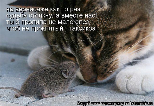 на вернисаже как то раз, судьба столкнула вместе нас! ты б пролила не мало слез, чтоб не проклятый - ... Котоматрица: на вернисаже как то раз, судьба столкнула вместе нас! ты б пролила не мало слез, чтоб не проклятый - таксикоз!