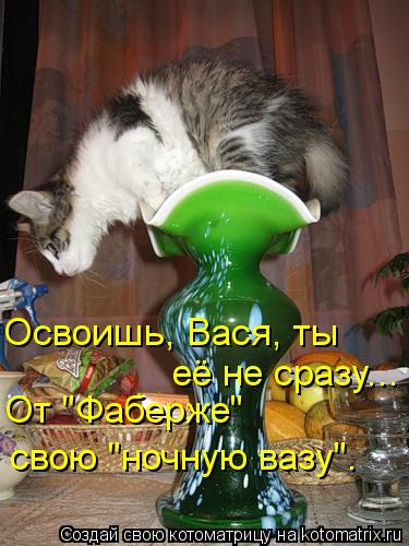 её не сразу... свою "ночную вазу". Освоишь, Вася, ты От "Фаберже"... Котоматрица: её не сразу... свою "ночную вазу". Освоишь, Вася, ты От "Фаберже"