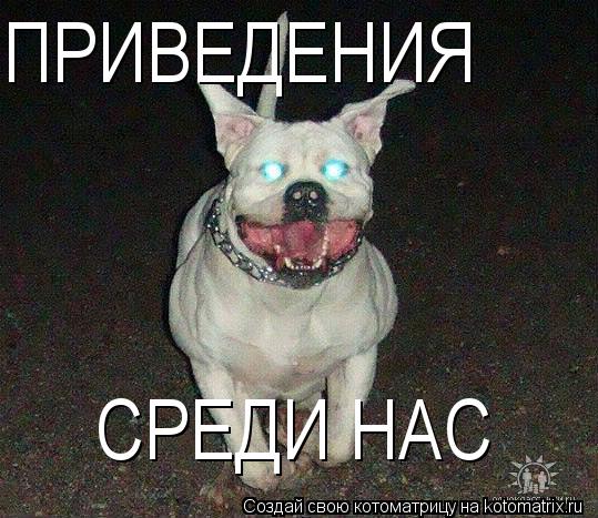 ПРИВЕДЕНИЯ СРЕДИ НАС... Котоматрица: ПРИВЕДЕНИЯ СРЕДИ НАС