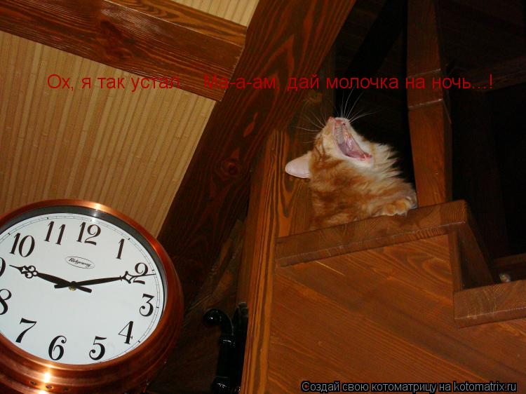 Ох, я так устал... Ма-а-ам, дай молочка на ночь...!... Котоматрица: Ох, я так устал... Ма-а-ам, дай молочка на ночь...!