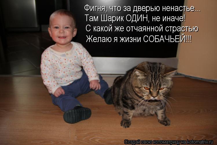 Фигня, что за дверью ненастье... Там Шарик ОДИН, не иначе! С какой же отчаянной страстью Желаю я жизн... Котоматрица: Фигня, что за дверью ненастье... Там Шарик ОДИН, не иначе! С какой же отчаянной страстью Желаю я жизни СОБАЧЬЕЙ!!!