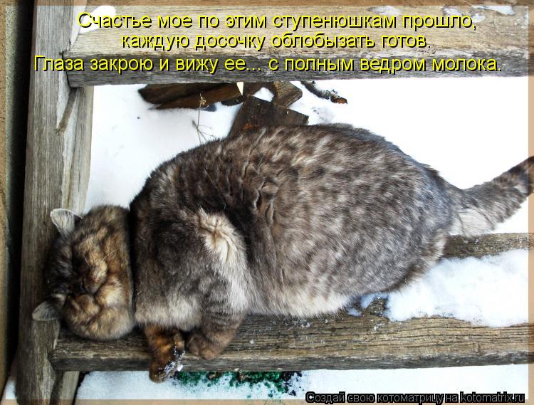 Счастье мое по этим ступенюшкам прошло, каждую досочку облобызать готов. Глаза закрою и вижу ее... с... Котоматрица: Счастье мое по этим ступенюшкам прошло, каждую досочку облобызать готов. Глаза закрою и вижу ее... с полным ведром молока.
