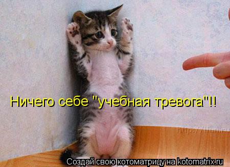 Ничего себе "учебная тревога"!!... Котоматрица: Ничего себе "учебная тревога"!!