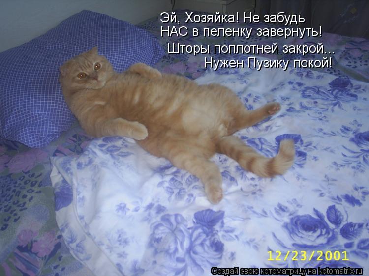 Эй, Хозяйка! Не забудь НАС в пеленку завернуть! Шторы поплотней закрой... Нужен Пузику покой!... Котоматрица: Эй, Хозяйка! Не забудь НАС в пеленку завернуть! Шторы поплотней закрой... Нужен Пузику покой!