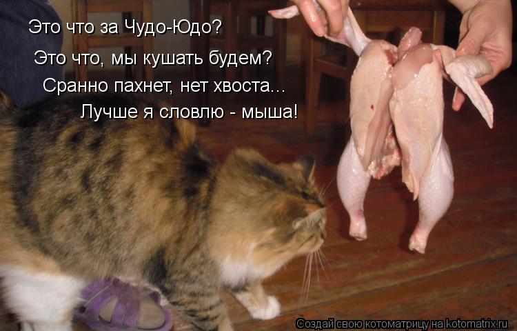 Это что за Чудо-Юдо? Это что, мы кушать будем? Сранно пахнет, нет хвоста... Лучше я словлю - мыша!... Котоматрица: Это что за Чудо-Юдо? Это что, мы кушать будем? Сранно пахнет, нет хвоста... Лучше я словлю - мыша!