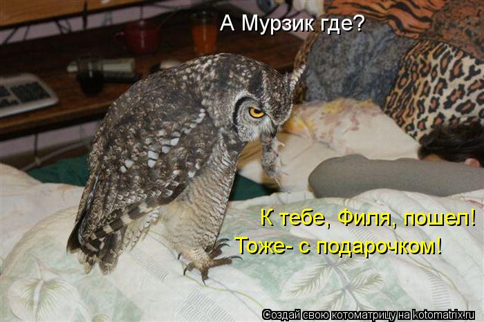 А Мурзик где? К тебе, Филя, пошел! Тоже- с подарочком!... Котоматрица: А Мурзик где? К тебе, Филя, пошел! Тоже- с подарочком!