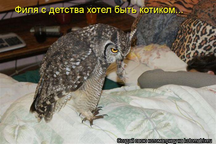 Филя с детства хотел быть котиком...... Котоматрица: Филя с детства хотел быть котиком...
