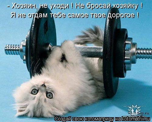 - Хозяин, не уходи ! Не бросай хозяйку ! Я не отдам тебе самое твое дорогое !... Котоматрица: - Хозяин, не уходи ! Не бросай хозяйку ! Я не отдам тебе самое твое дорогое !