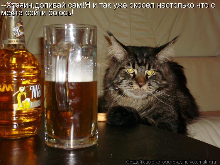 --Хозяин,допивай сам!Я и так уже окосел настолько,что с места сойти боюсь!... Котоматрица: --Хозяин,допивай сам!Я и так уже окосел настолько,что с места сойти боюсь!