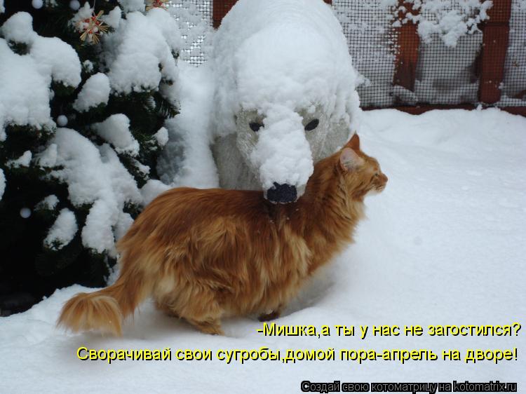 -Мишка,а ты у нас не загостился? Сворачивай свои сугробы,домой пора-апрель на дворе!... Котоматрица: -Мишка,а ты у нас не загостился? Сворачивай свои сугробы,домой пора-апрель на дворе!