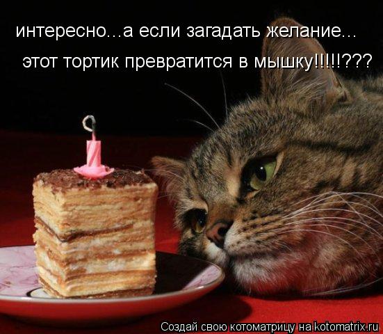 этот тортик превратится в мышку!!!!!??? интересно...а если загадать желание...... Котоматрица: этот тортик превратится в мышку!!!!!??? интересно...а если загадать желание...