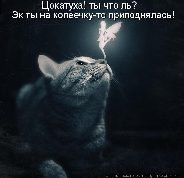 -Цокатуха! ты что ль? Эк ты на копеечку-то приподнялась!... Котоматрица: -Цокатуха! ты что ль? Эк ты на копеечку-то приподнялась!