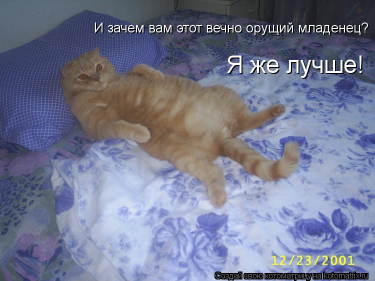 И зачем вам этот вечно орущий младенец? Я же лучше!... Котоматрица: И зачем вам этот вечно орущий младенец? Я же лучше!