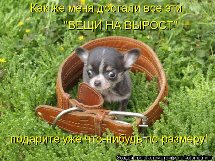 "ВЕЩИ НА ВЫРОСТ" подарите уже что-нибудь по размеру! Как же меня достали все эти... Котоматрица: "ВЕЩИ НА ВЫРОСТ" подарите уже что-нибудь по размеру! Как же меня достали все эти
