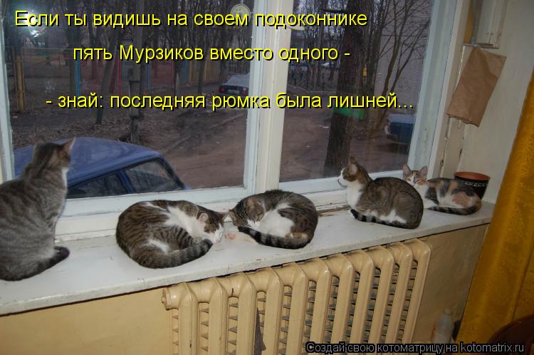 Если ты видишь на своем подоконнике пять Мурзиков вместо одного - - знай: последняя рюмка была лишне... Котоматрица: Если ты видишь на своем подоконнике пять Мурзиков вместо одного - - знай: последняя рюмка была лишней...