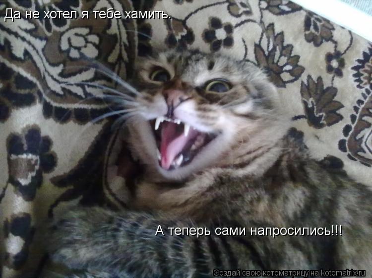 Да не хотел я тебе хамить. А теперь сами напросились!!!... Котоматрица: Да не хотел я тебе хамить. А теперь сами напросились!!!
