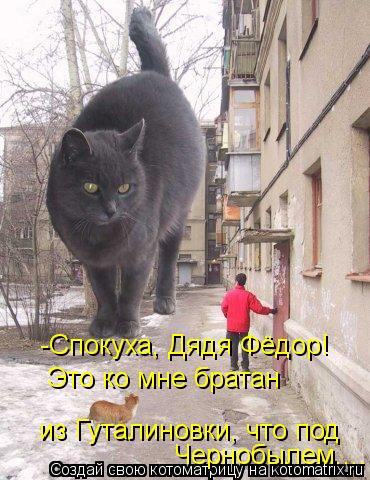 -Спокуха, Дядя Фёдор! Это ко мне братан из Гуталиновки, что под Чернобылем....... Котоматрица: -Спокуха, Дядя Фёдор! Это ко мне братан из Гуталиновки, что под Чернобылем....