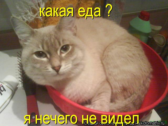 какая еда ? я нечего не видел... Котоматрица: какая еда ? я нечего не видел