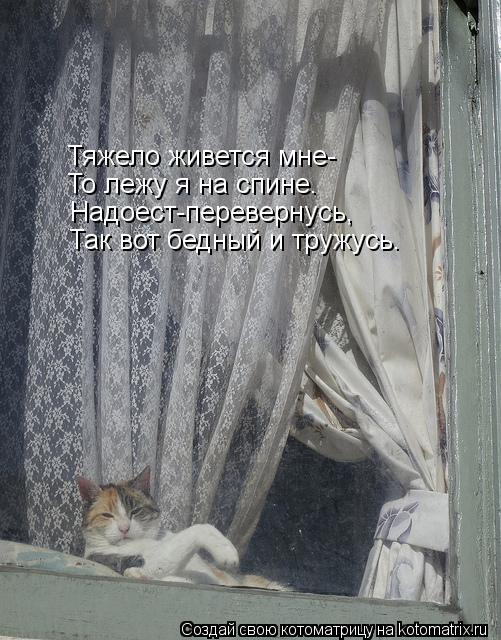 Тяжело живется мне- То лежу я на спине. Надоест-перевернусь, Так вот бедный и тружусь.... Котоматрица: Тяжело живется мне- То лежу я на спине. Надоест-перевернусь, Так вот бедный и тружусь.