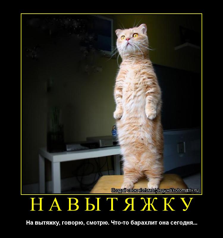 НАВЫТЯЖКУ На вытяжку, говорю, смотрю. Что-то барахлит она сегодня...... Котоматрица: НАВЫТЯЖКУ На вытяжку, говорю, смотрю. Что-то барахлит она сегодня...
