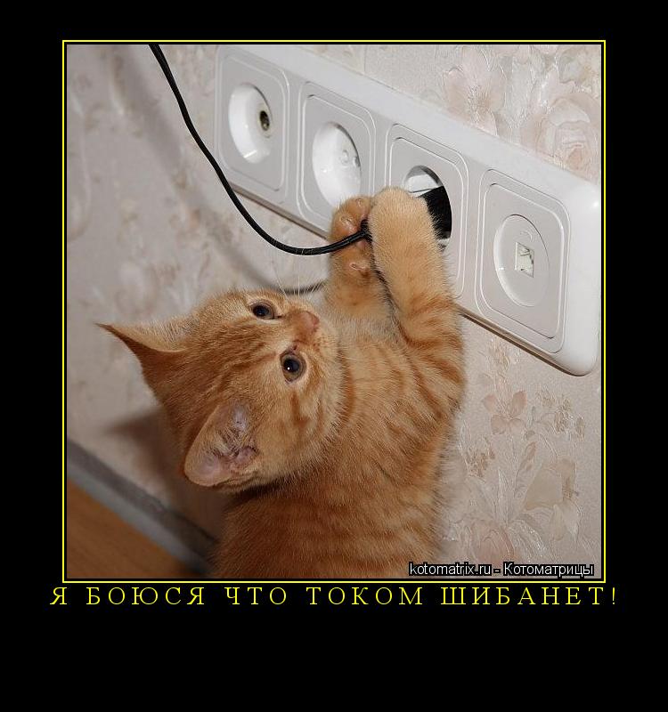 Я боюся что током шибанет! ... Котоматрица: Я боюся что током шибанет!