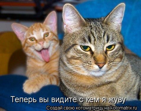 Теперь вы видите с кем я жуву... Котоматрица: Теперь вы видите с кем я жуву