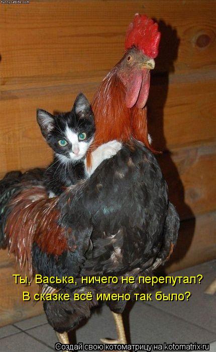 Ты, Васька, ничего не перепутал? В сказке всё имено так было?... Котоматрица: Ты, Васька, ничего не перепутал? В сказке всё имено так было?