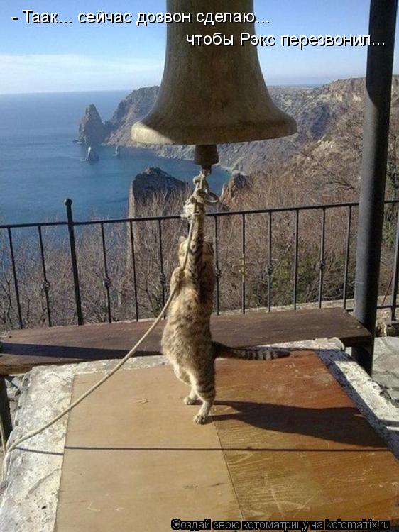 - Таак... сейчас дозвон сделаю... чтобы Рэкс перезвонил...... Котоматрица: - Таак... сейчас дозвон сделаю... чтобы Рэкс перезвонил...
