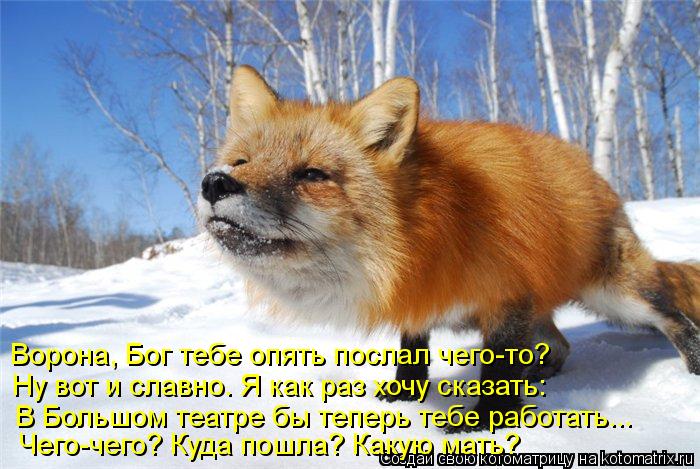 Ворона, Бог тебе опять послал чего-то? Ну вот и славно. Я как раз хочу сказать: В Большом театре бы т... Котоматрица: Ворона, Бог тебе опять послал чего-то? Ну вот и славно. Я как раз хочу сказать: В Большом театре бы теперь тебе работать... Чего-чего? Куда пошл