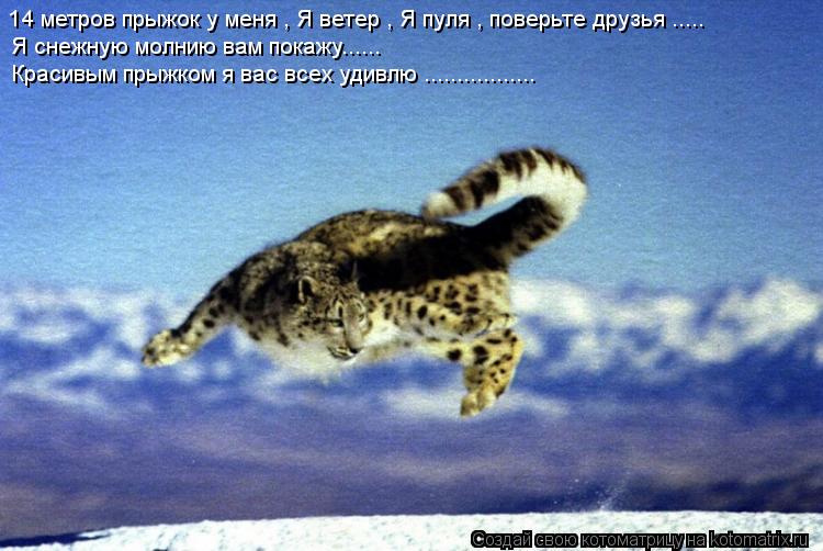 14 метров прыжок у меня , Я ветер , Я пуля , поверьте друзья ..... Я снежную молнию вам покажу...... ... Котоматрица: 14 метров прыжок у меня , Я ветер , Я пуля , поверьте друзья ..... Я снежную молнию вам покажу...... Красивым прыжком я вас всех удивлю .................
