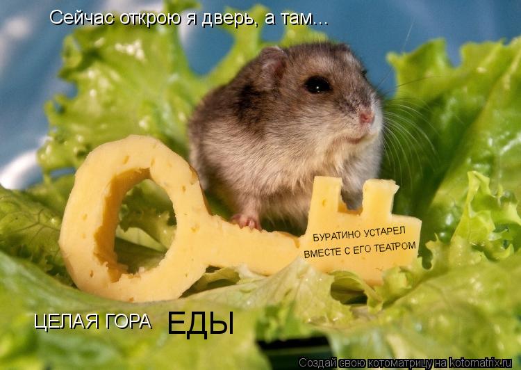 Сейчас открою я дверь, а там... ЦЕЛАЯ ГОРА ЕДЫ БУРАТИНО УСТАРЕЛ ВМЕСТЕ С ЕГО ТЕАТРОМ... Котоматрица: Сейчас открою я дверь, а там... ЦЕЛАЯ ГОРА ЕДЫ БУРАТИНО УСТАРЕЛ ВМЕСТЕ С ЕГО ТЕАТРОМ