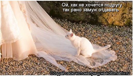 Ой, как не хочется подругу так рано замуж отдавать... Котоматрица: Ой, как не хочется подругу так рано замуж отдавать