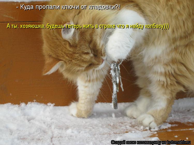 - Куда пропали ключи от кладовки?! А ты, хозяюшка, будешь теперь жить в страхе что я найду колбасу)))... Котоматрица: - Куда пропали ключи от кладовки?! А ты, хозяюшка, будешь теперь жить в страхе что я найду колбасу)))