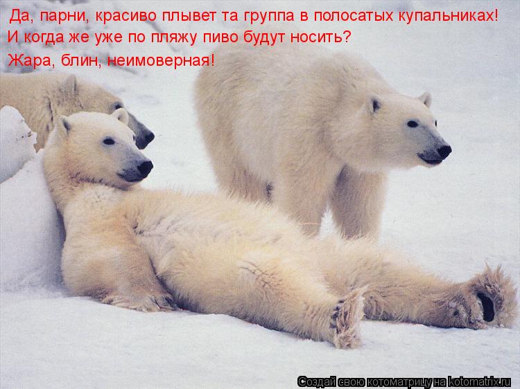 Да, парни, красиво плывет та группа в полосатых купальниках! И когда же уже по пляжу пиво будут носит... Котоматрица: Да, парни, красиво плывет та группа в полосатых купальниках! И когда же уже по пляжу пиво будут носить? И когда же уже по пляжу пиво будут нос