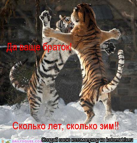 Cколько лет, сколько зим!! Да ваще браток!... Котоматрица: Cколько лет, сколько зим!! Да ваще браток!