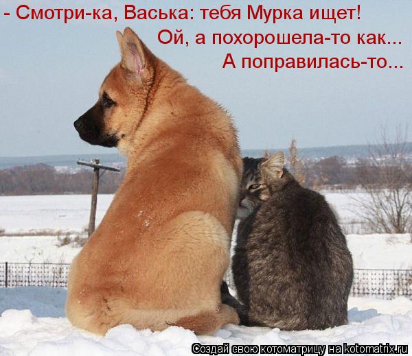- Смотри-ка, Васька: тебя Мурка ищет! Ой, а похорошела-то как... А поправилась-то...... Котоматрица: - Смотри-ка, Васька: тебя Мурка ищет! Ой, а похорошела-то как... А поправилась-то...
